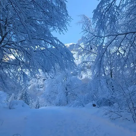 Petit Mazot A Scandinavian * Samoëns